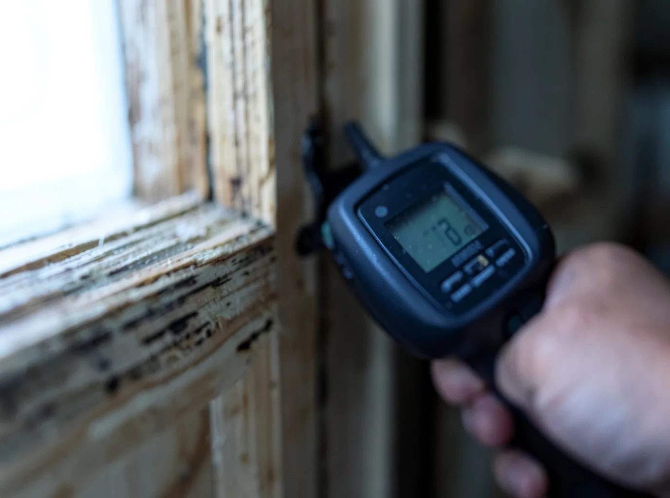 Moisture Inspection And Documentation in Lake Dallas, TX